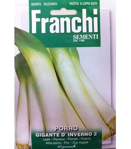 Amazon | 【FRANCHI社種子】【107/1】リーキ（ポロネギ）・CARENTAN | 野菜